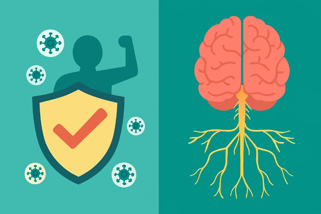 کپسول کینوکو گلد AHCC (Kinoko Gold AHCC) و نقش تحول‌آفرین آن در بهبود کیفیت زندگی